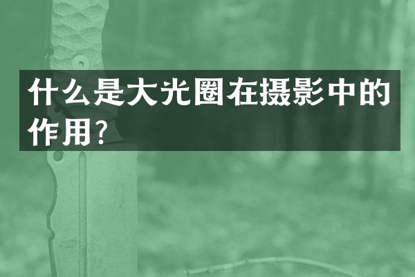 什么是大光圈在摄影中的作用？