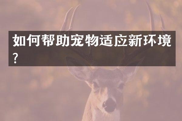 如何帮助宠物适应新环境？