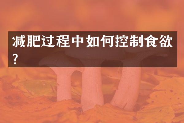 减肥过程中如何控制食欲？