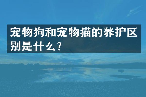 宠物狗和宠物猫的养护区别是什么？