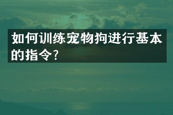 如何训练宠物狗进行基本的指令？