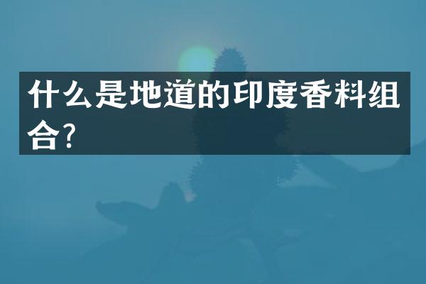 什么是地道的印度香料组合？