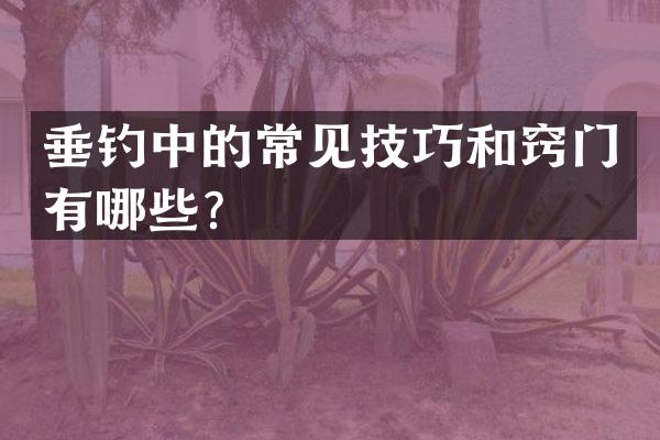 垂钓中的常见技巧和窍门有哪些？