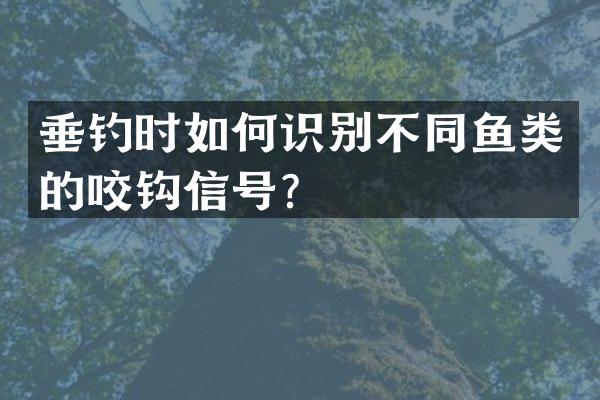 垂钓时如何识别不同鱼类的咬钩信号？