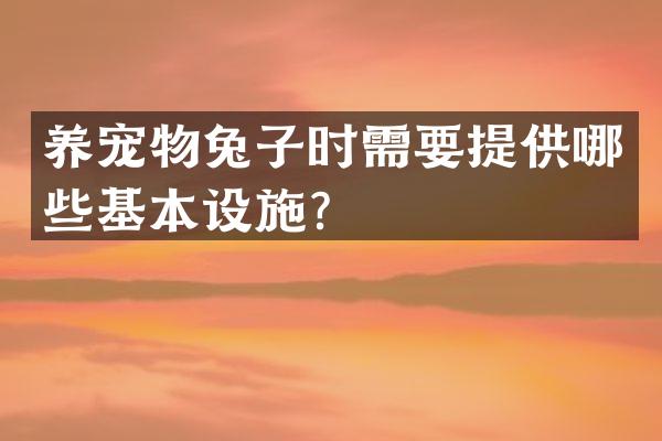 养宠物兔子时需要提供哪些基本设施？