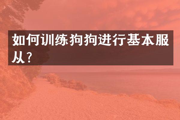 如何训练狗狗进行基本服从？