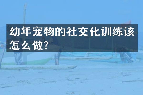 幼年宠物的社交化训练该怎么做？