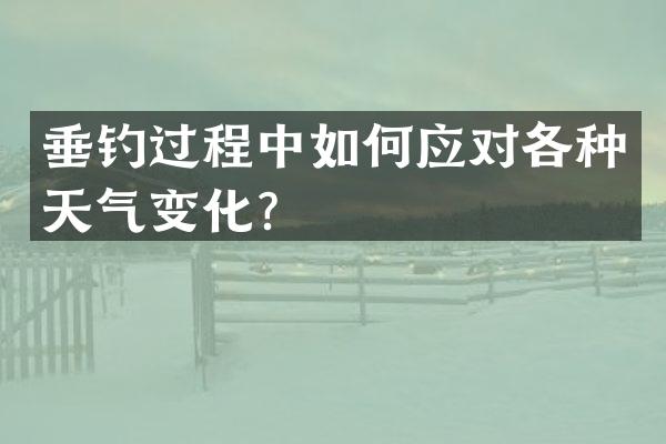 垂钓过程中如何应对各种天气变化？