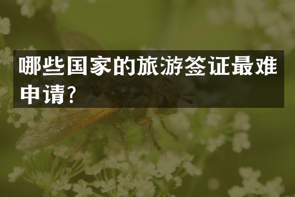 哪些国家的旅游签证最难申请？