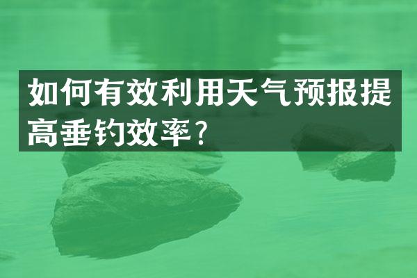 如何有效利用天气预报提高垂钓效率？