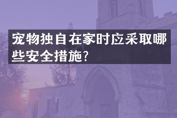 宠物独自在家时应采取哪些安全措施？