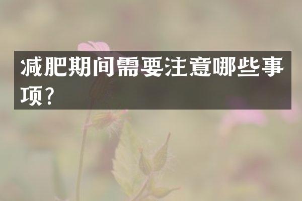 减肥期间需要注意哪些事项？