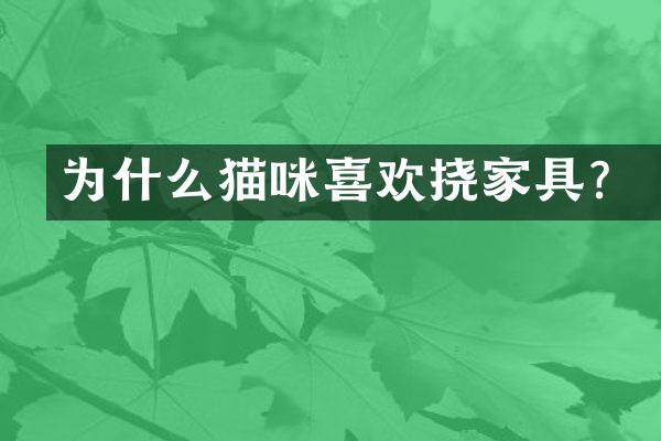 为什么猫咪喜欢挠家具？