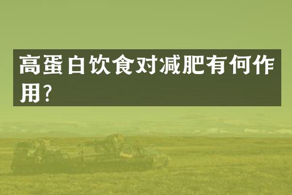 高蛋白饮食对减肥有何作用？