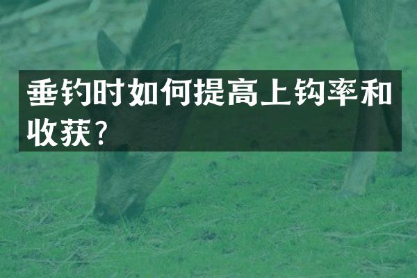 垂钓时如何提高上钩率和收获？