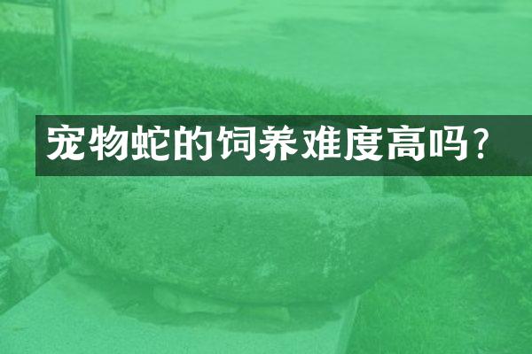 宠物蛇的饲养难度高吗？