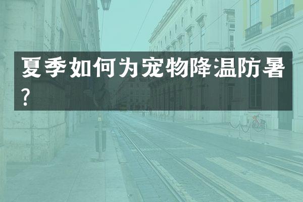 夏季如何为宠物降温防暑？