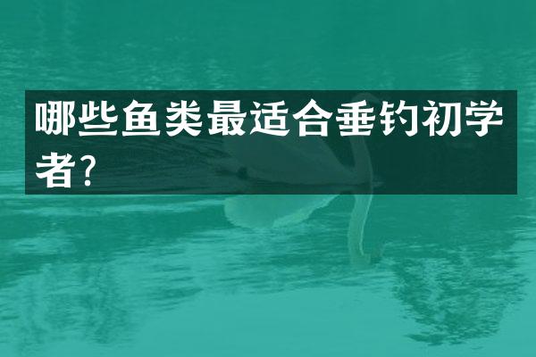 哪些鱼类最适合垂钓初学者？