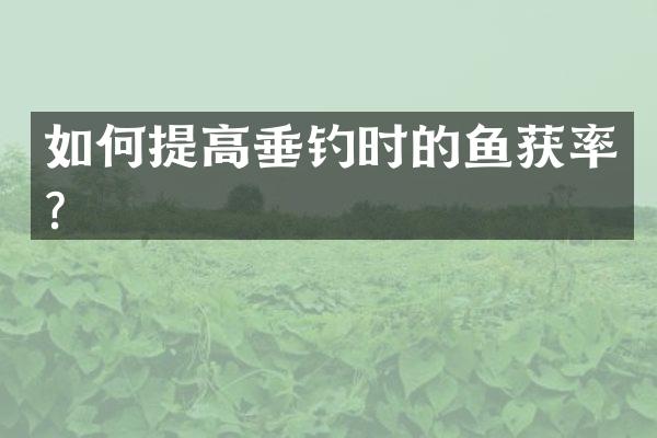 如何提高垂钓时的鱼获率？