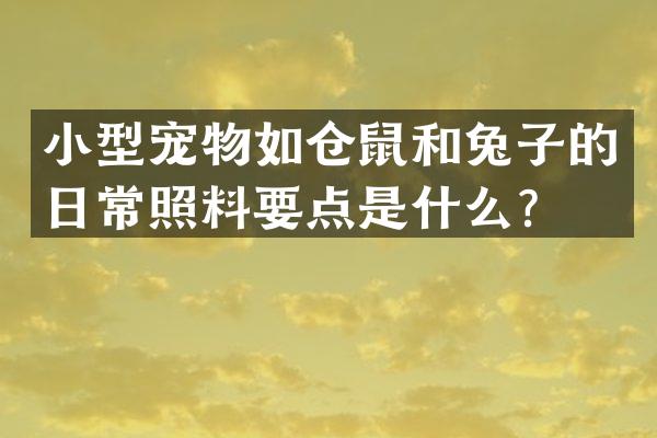 小型宠物如仓鼠和兔子的日常照料要点是什么？
