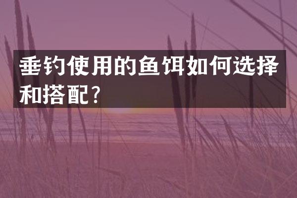 垂钓使用的鱼饵如何选择和搭配？