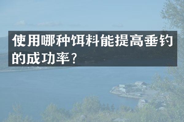 使用哪种饵料能提高垂钓的成功率？