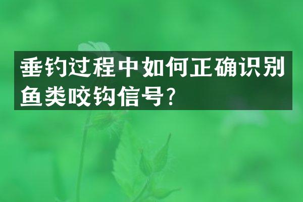 垂钓过程中如何正确识别鱼类咬钩信号？