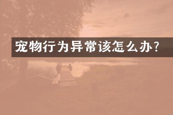 宠物行为异常该怎么办？