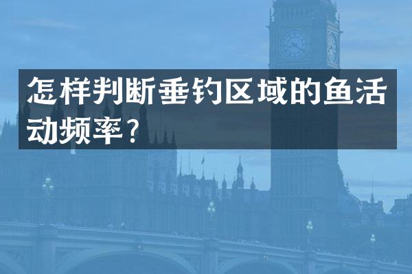 怎样判断垂钓区域的鱼活动频率？