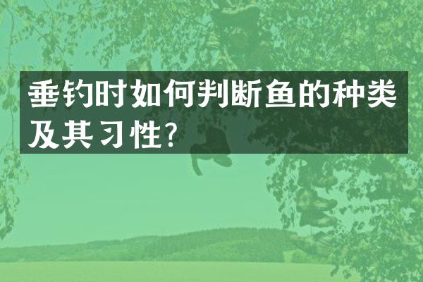 垂钓时如何判断鱼的种类及其习性？