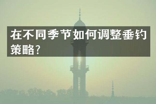 在不同季节如何调整垂钓策略？