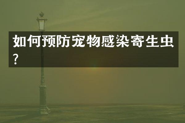 如何预防宠物感染寄生虫？