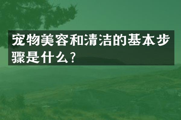 宠物美容和清洁的基本步骤是什么？