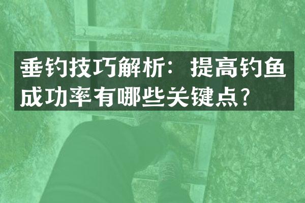 垂钓技巧解析：提高钓鱼成功率有哪些关键点？