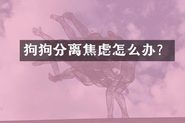 狗狗分离焦虑怎么办？
