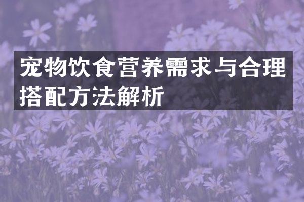 宠物饮食营养需求与合理搭法解析
