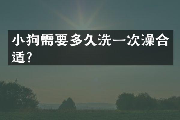 小狗需要多久洗一次澡合适？