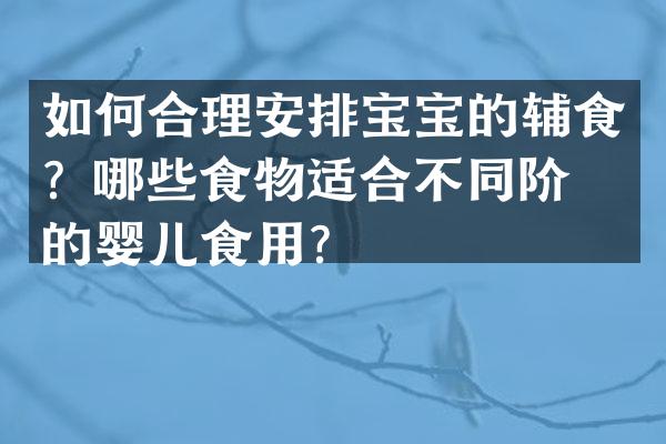 如何合理安排宝宝的辅食？哪些食物适合不同阶段的婴儿食用？
