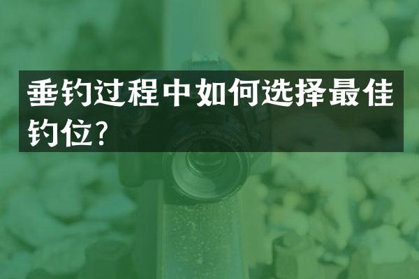 垂钓过程中如何选择最佳钓位？
