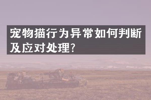 宠物猫行为异常如何判断及应对处理？