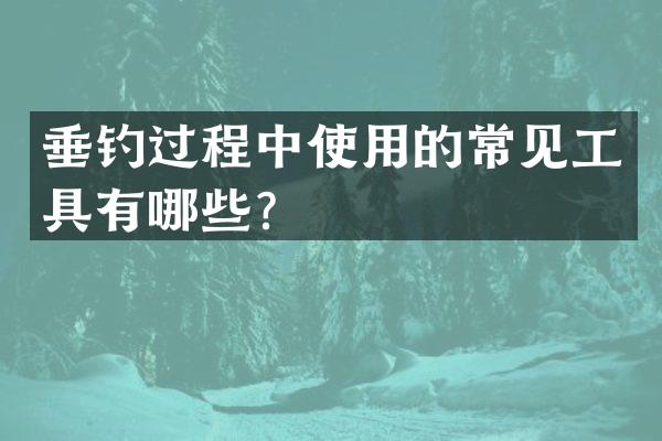 垂钓过程中使用的常见工具有哪些？