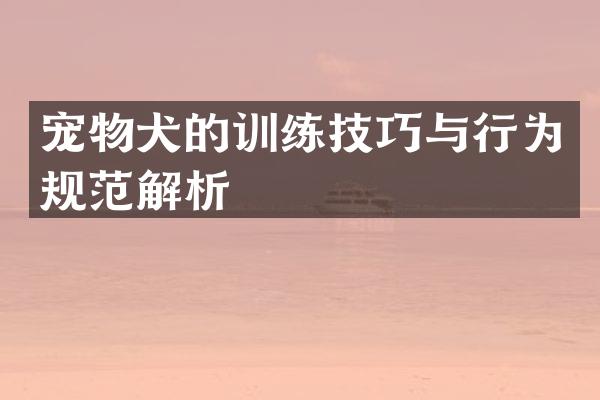 宠物犬的训练技巧与行为规范解析