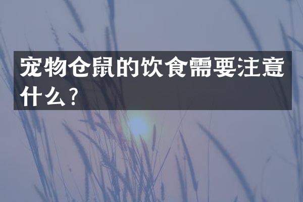 宠物仓鼠的饮食需要注意什么？
