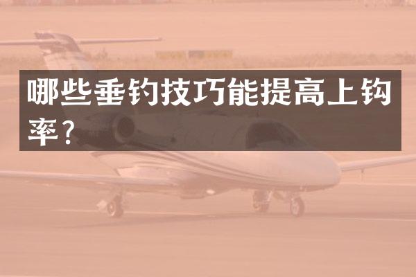 哪些垂钓技巧能提高上钩率？