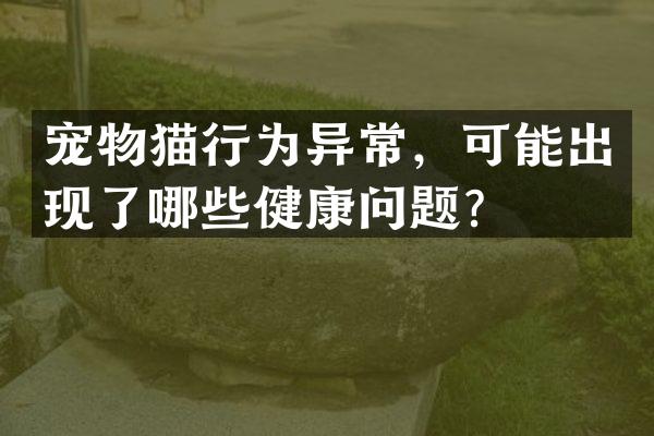 宠物猫行为异常，可能出现了哪些健康问题？