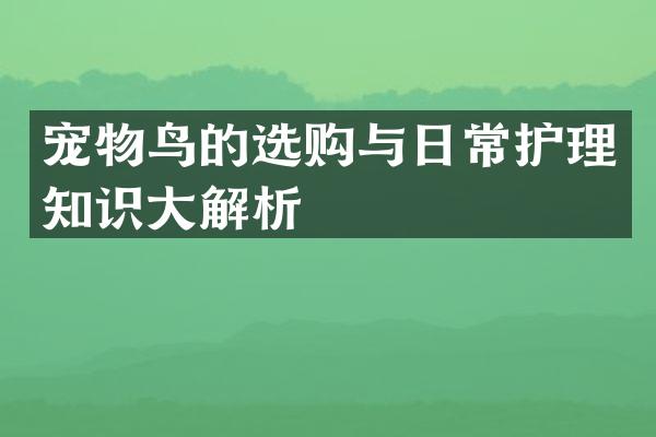 宠物鸟的选购与日常护理知识大解析