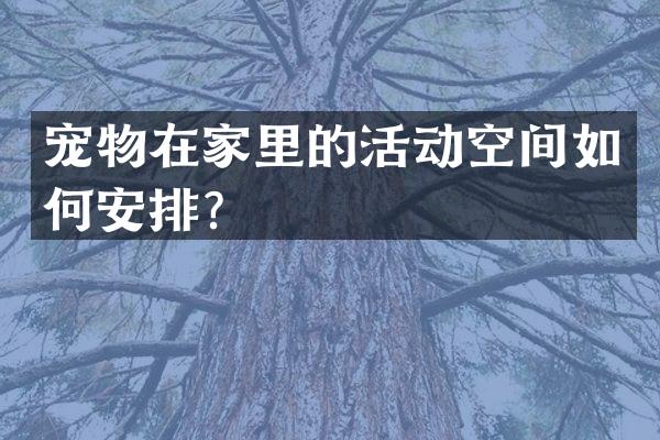 宠物在家里的活动空间如何安排？
