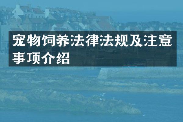 宠物饲养法律法规及注意事项介绍