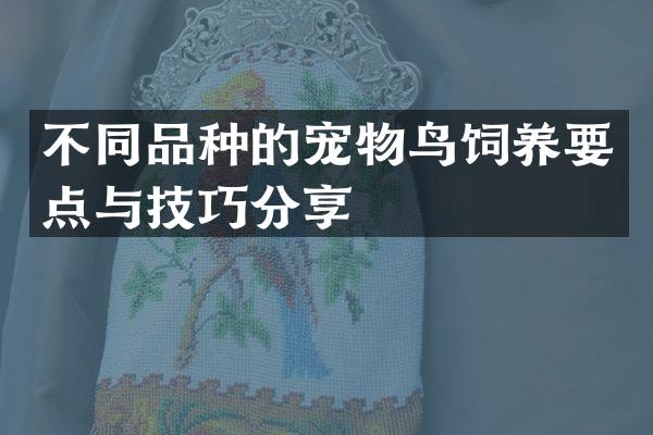 不同品种的宠物鸟饲养要点与技巧分享