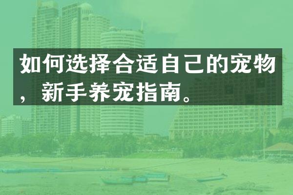 如何选择合适自己的宠物，新手养宠指南。